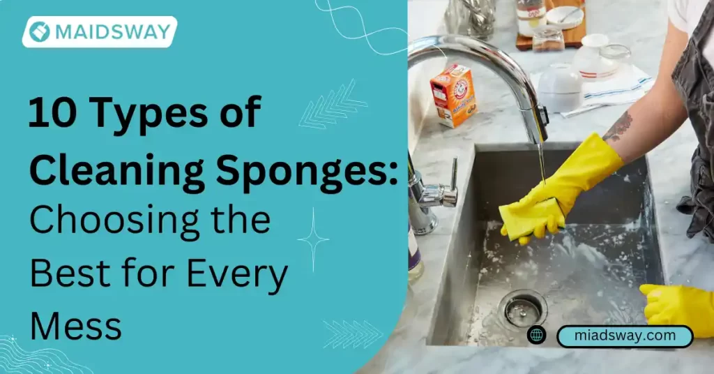 10 Types of Cleaning Sponges