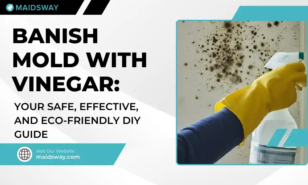 Banish Mold with Vinegar