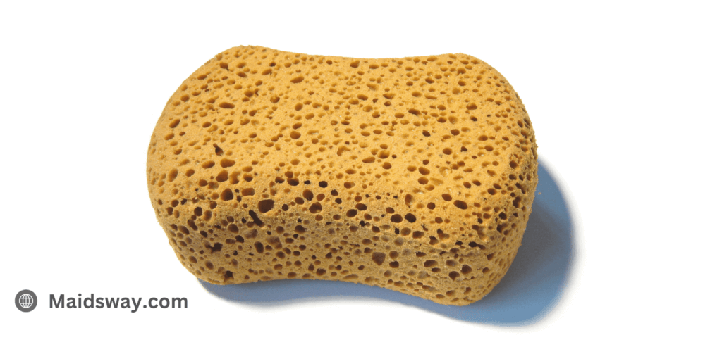 Dry Sponges