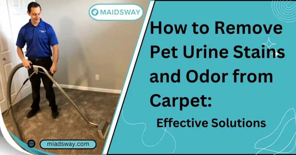 How to Remove Pet Urine Stains and Odor from Carpet Effective Solutions