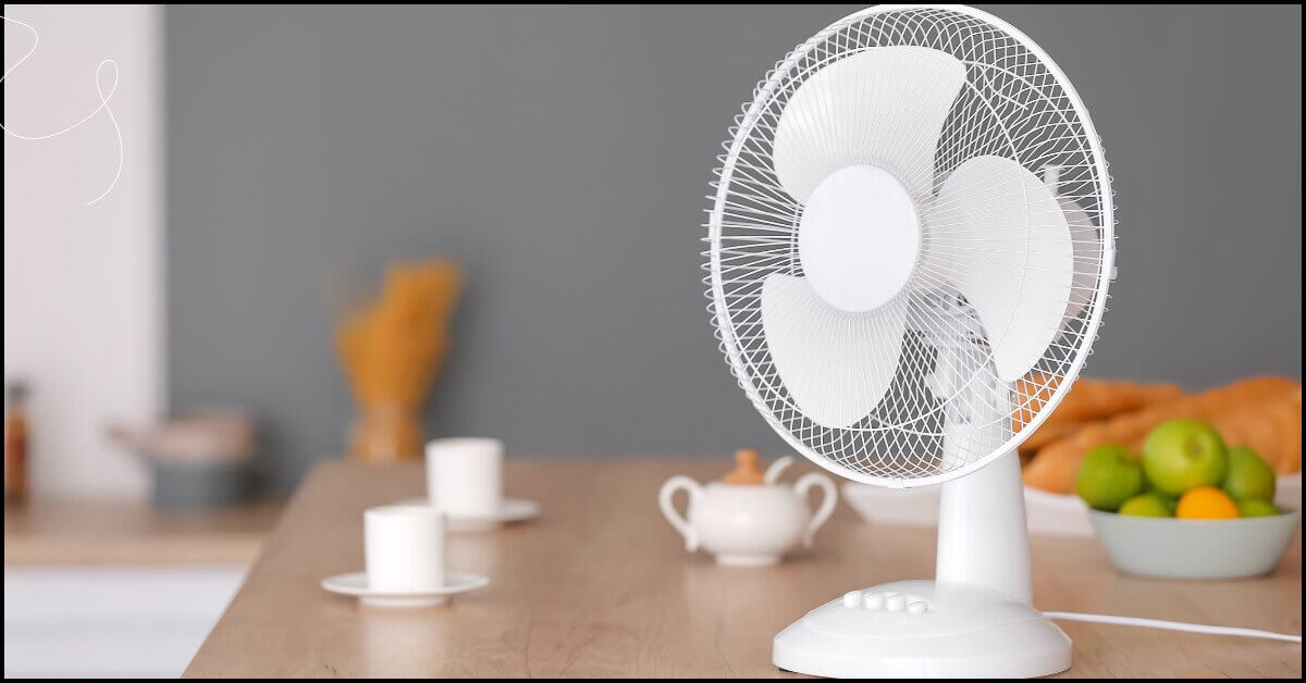 Table fan