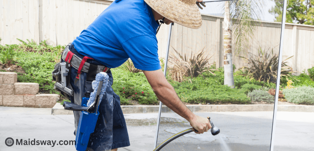 cleaning window screens