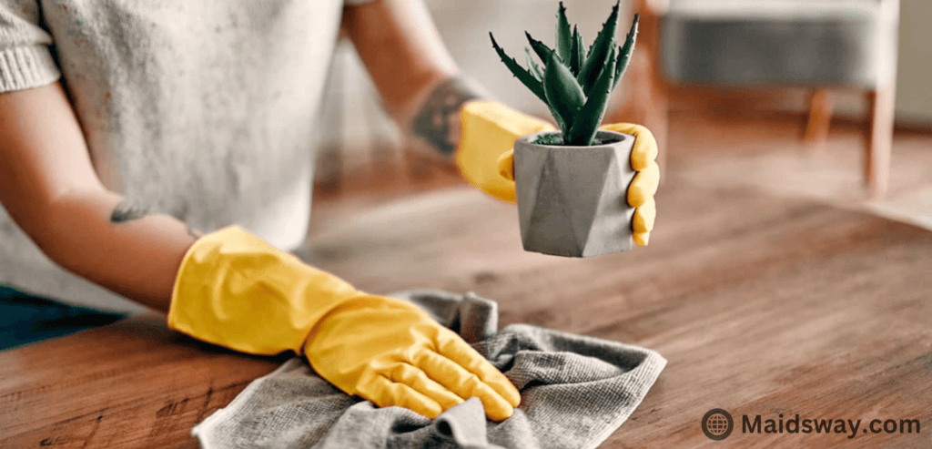 remove dust from home