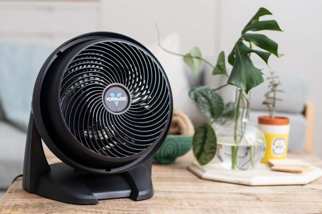 Vornado Fan